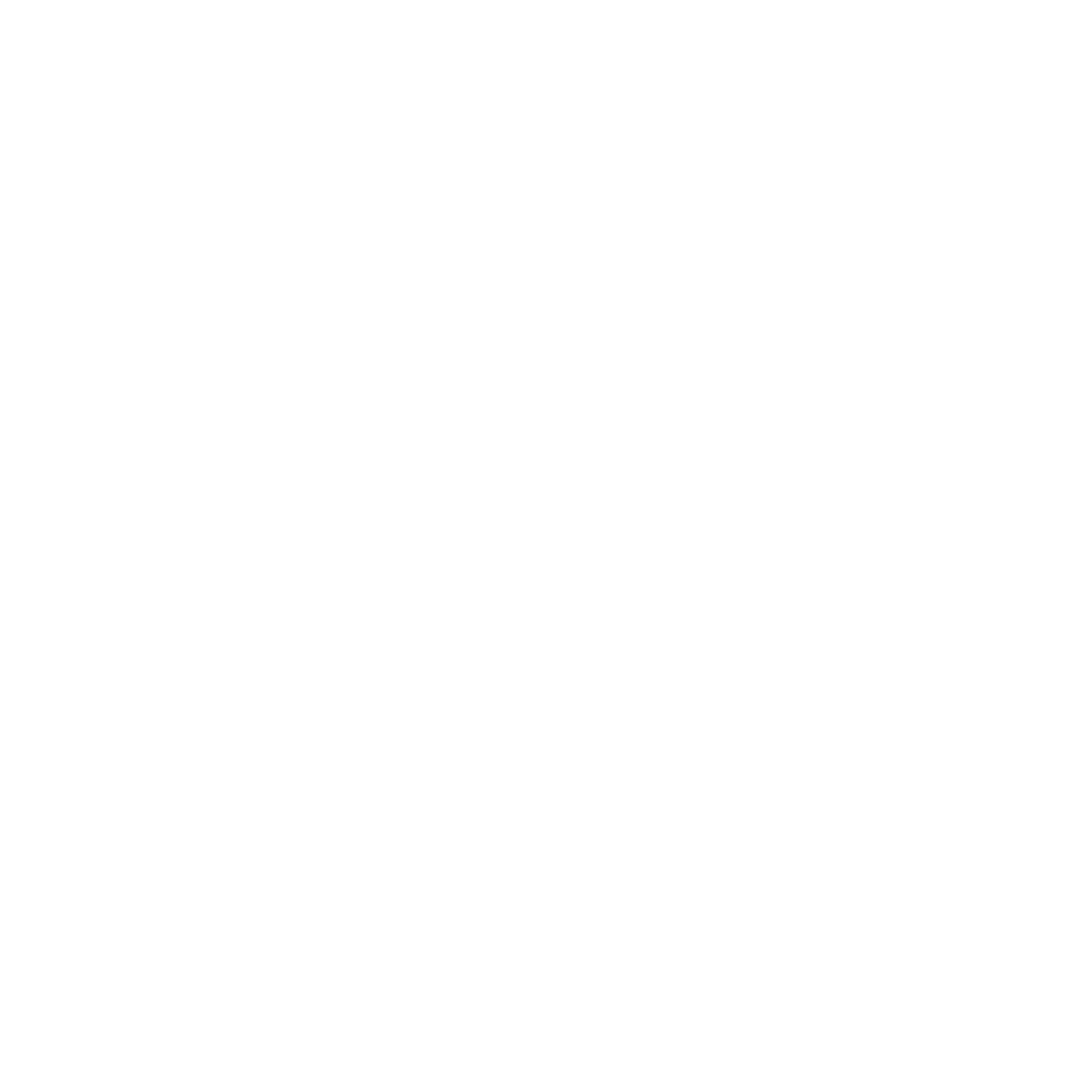 Scholten TN Logo